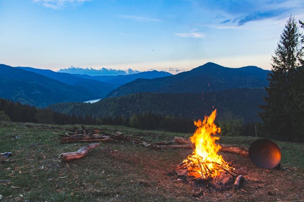 A Bonefire in the middle of the woods with a sky backdrop